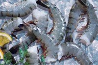  MPC: Xuất khẩu tôm sang Mỹ bị ảnh hưởng mạnh 